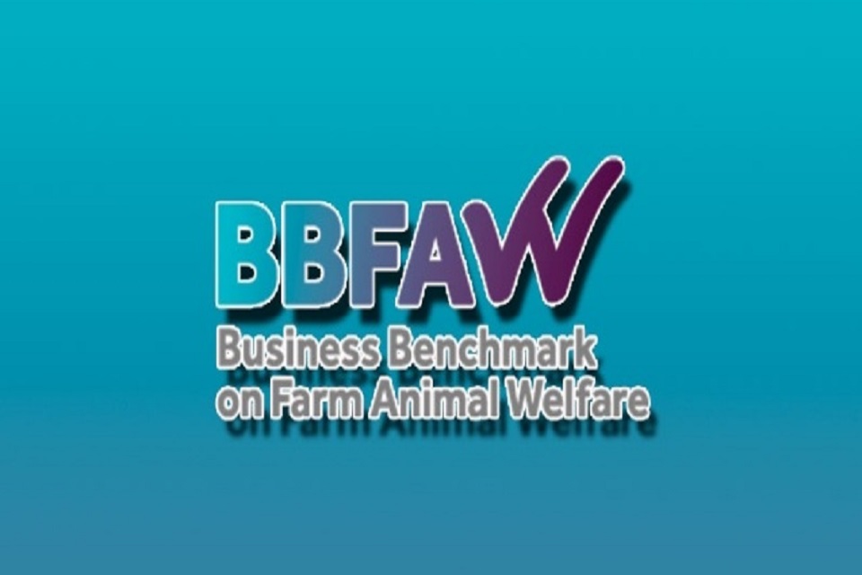 JBS expands investments and consolidates good animal welfare practices