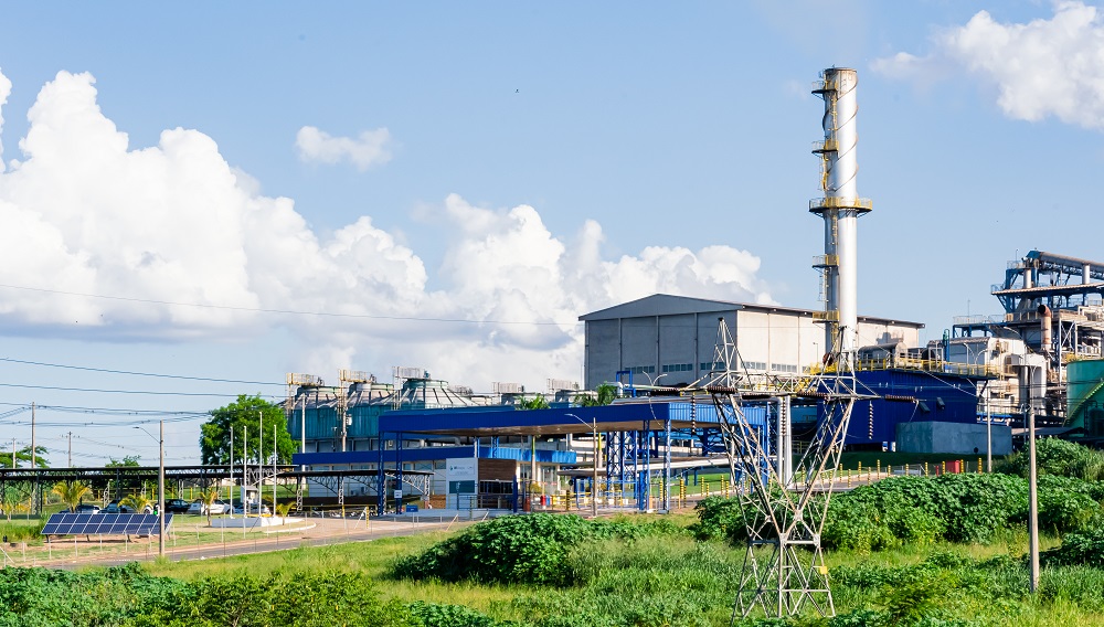 JBS begins issuing International Renewable Energy Certificates