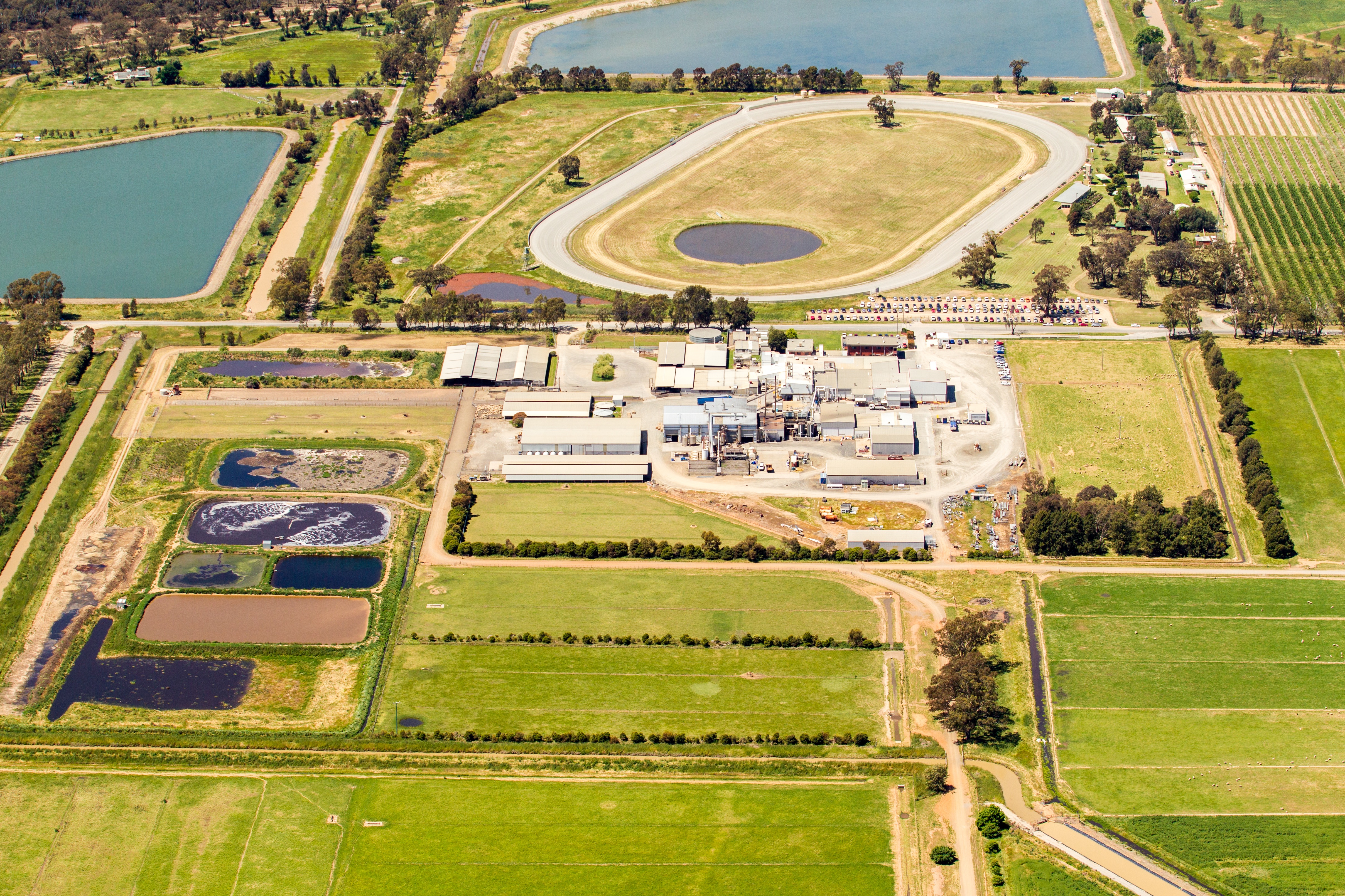JBS invests $20 million in expansion of lamb unit in Australia