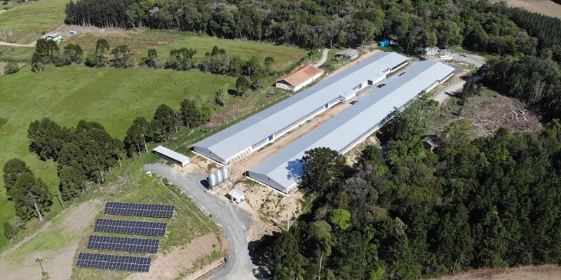 At Seara, 55% of integrated producers’ farms are already using solar energy